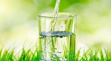 rules for following a diet to lose weight