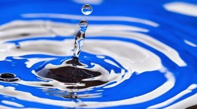 the essence of a drinkable diet for weight loss